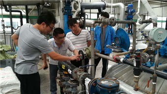 眉山市久鼎安全技術咨詢公司積極配合落實全市安全生產工作系統(tǒng)檢查