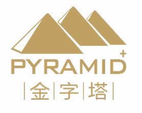 深圳市金字塔健康咨詢 專業(yè)健康管理技術(shù)咨詢服務(wù)