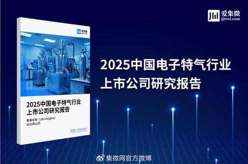 2025中國電子特氣行業(yè)上市公司研究報(bào)告 技術(shù)驅(qū)動(dòng)下的競爭格局與市場(chǎng)展望